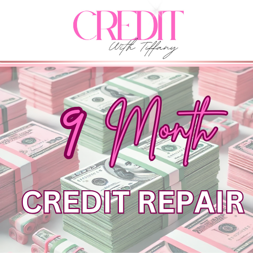 9 Month Credit Repair